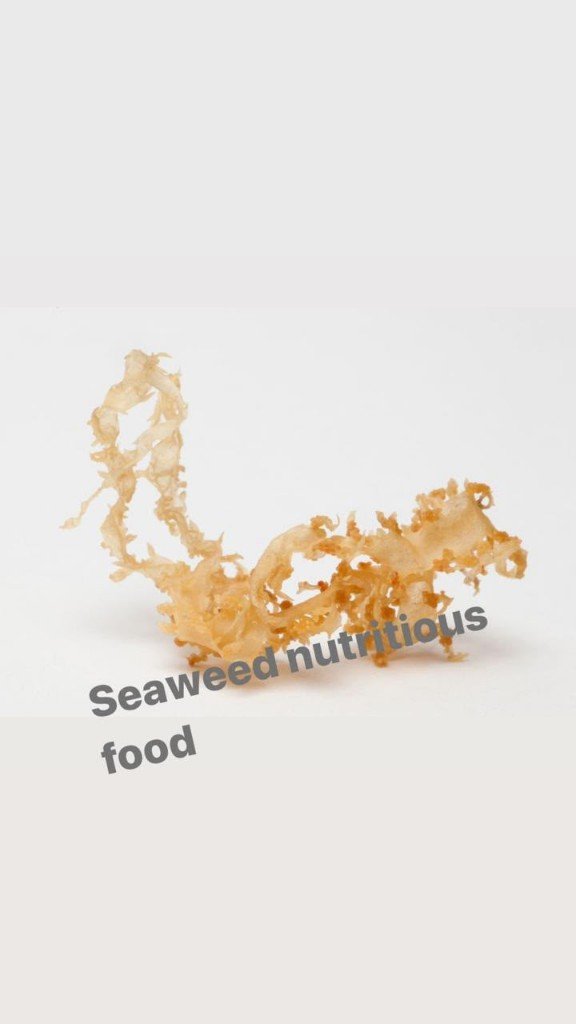 Golden dried seaweed – Seaweed Nutritious Food